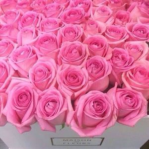 Meet your Posher, Laura